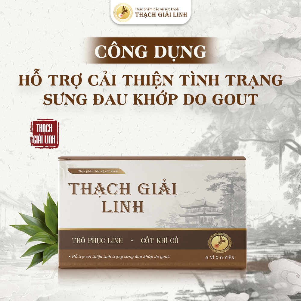 Công dụng của viên gout Thạch Giải Linh